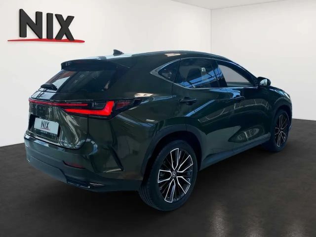 Lexus NX 4x4 Luxury Line