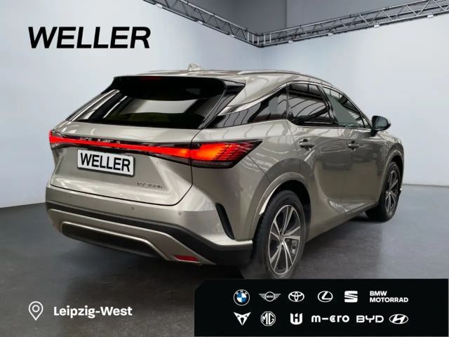 Lexus RX-Serie Business Line