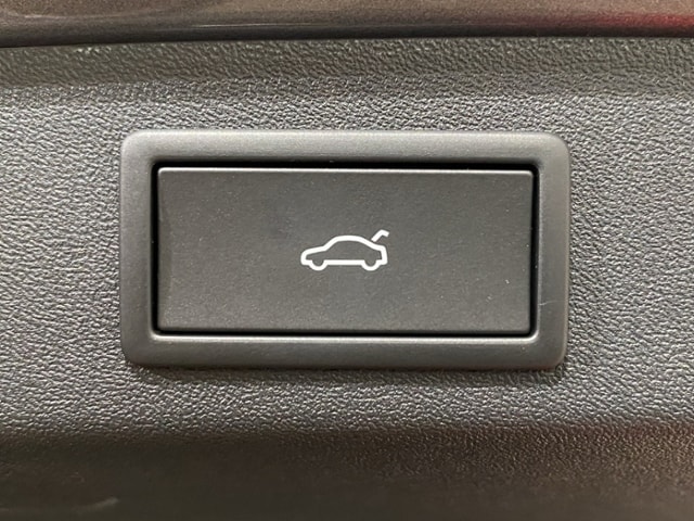 Skoda Kodiaq 1.5 eHybrid DSG / Navi LED AHK