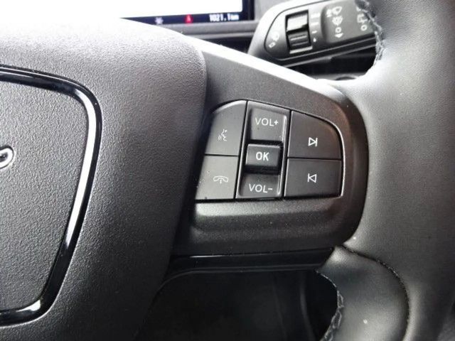 Ford Mustang Mach-E RWD