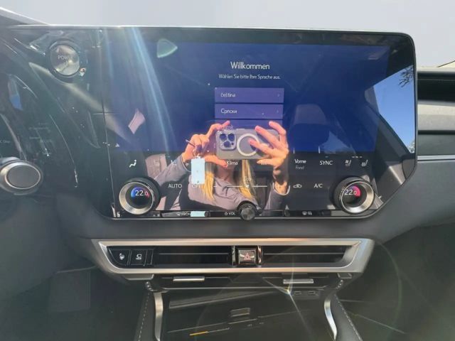 Lexus RX-Serie 4x4 Luxury Line