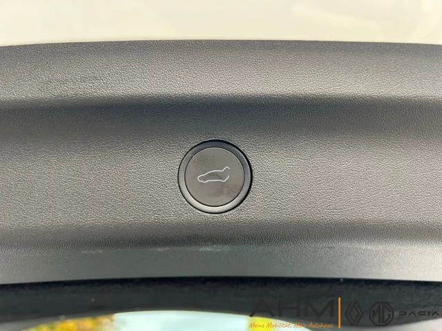 Tesla Model Y AWD Dual Motor Performance