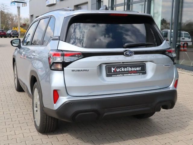 Subaru Forester 2.0ie Platinum MJ2025 sofort verfügbar