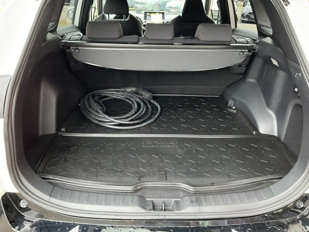 Toyota RAV4 5-deurs Plug-in Technik