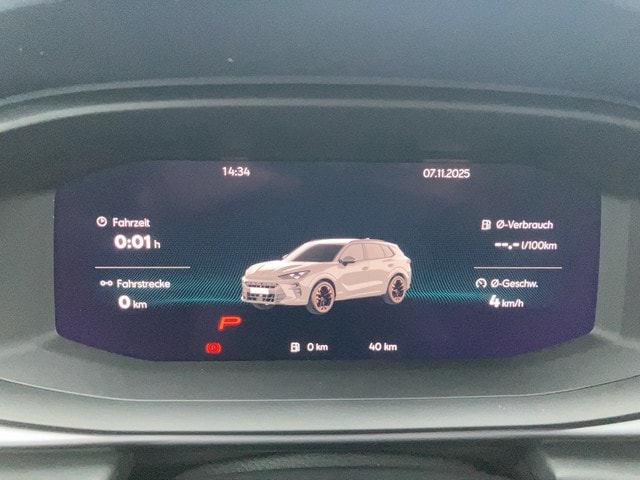 Cupra Terramar 2.0 TSI VZ