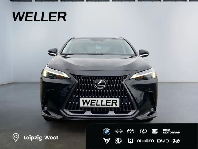 Lexus NX Executive Line