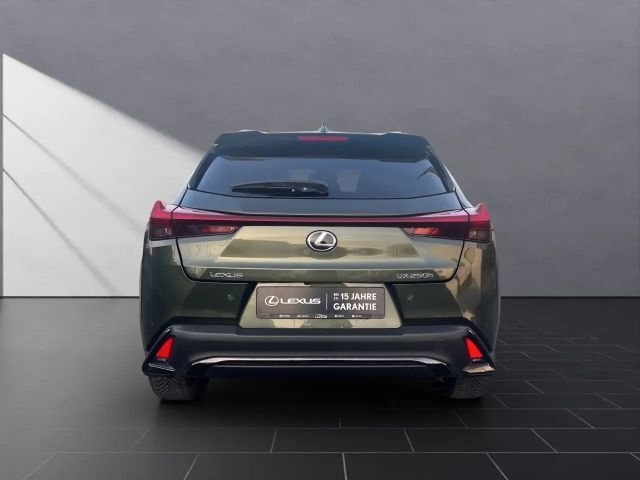 Lexus UX 250h F Sport Sport