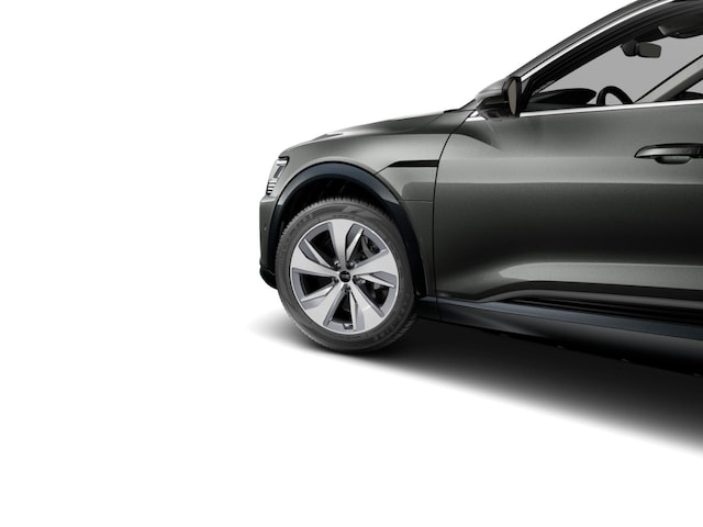 Audi Q8 e-tron 55 Quattro