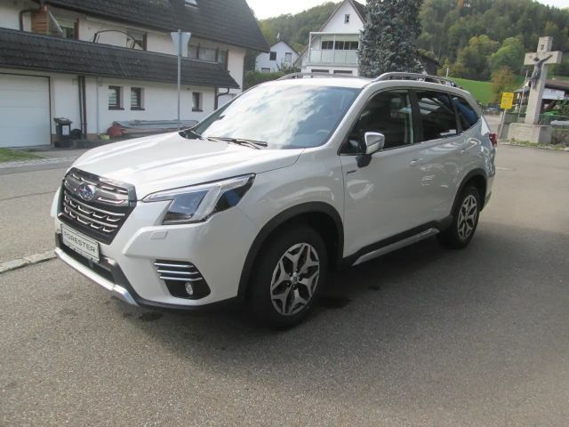 Subaru Forester Active