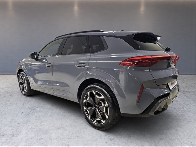 Cupra Terramar 2,0 TSI DSG LED AHK EL-HK RFK SHZ