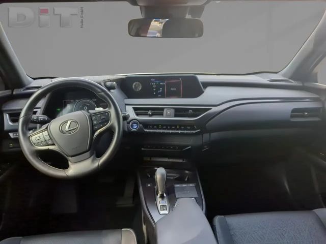 Lexus UX Basis Klima Kamera Sitzhzg Tempomat