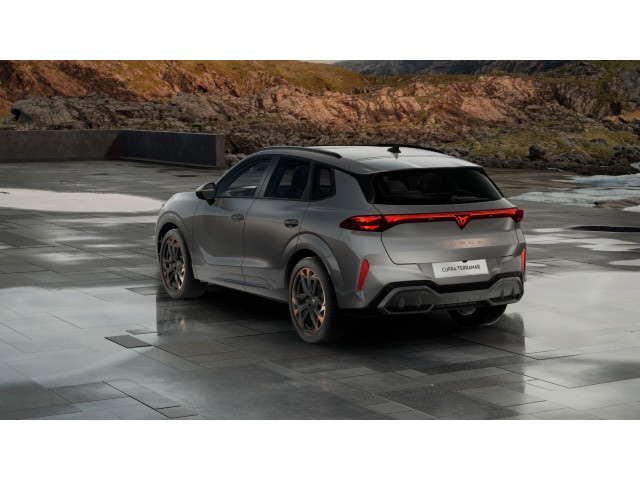 Cupra Terramar 2.0 TSI VZ