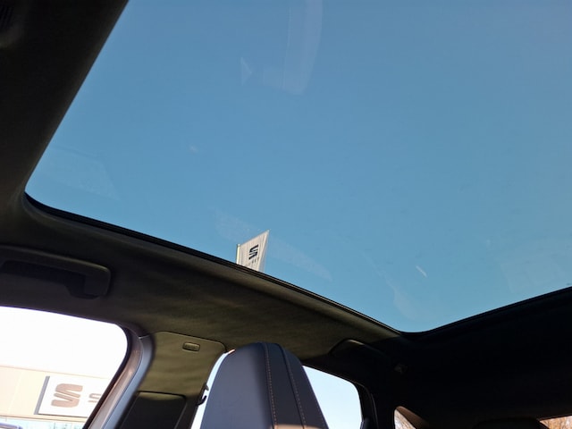 Cupra Tavascan Endurance