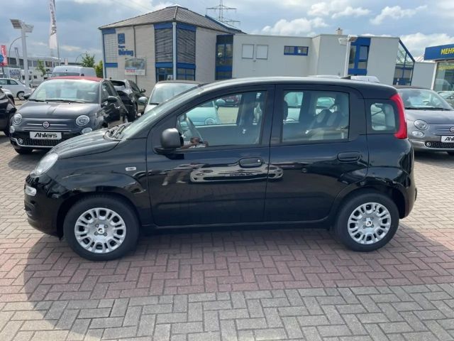 Fiat Panda +KLIMA+DIGICOCKPIT+PDC+ASSISTENTEN+5SITZER+TEMPOMA