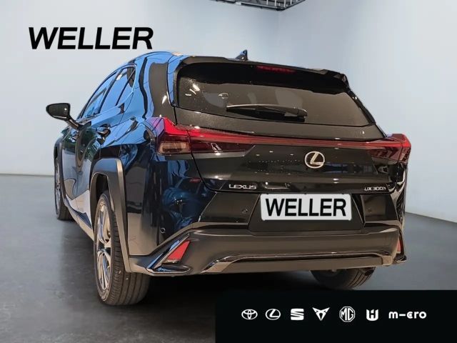 Lexus UX F Sport Sport