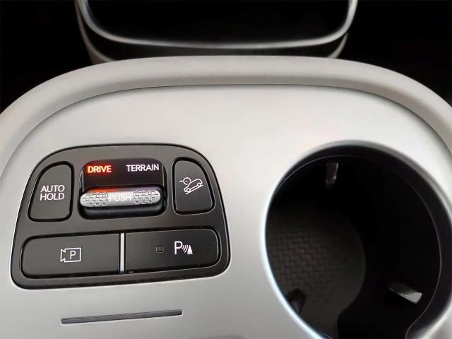 Hyundai Ioniq Vierwielaandrijving