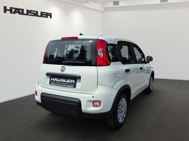 Fiat Panda Panda Hybrid 1.0 GSE Parksensoren hinten CityPaket