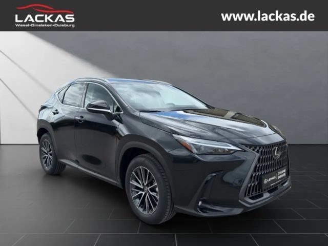 Lexus NX h BUSINESS*CONNECT-MY25* MEMORY*360KAM*GARANTIE