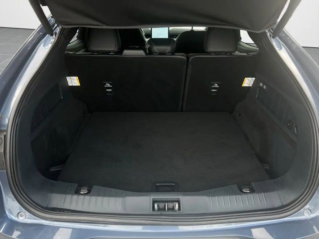 Ford Mustang Mach-E Basis/ACC/Klima/360°RFK