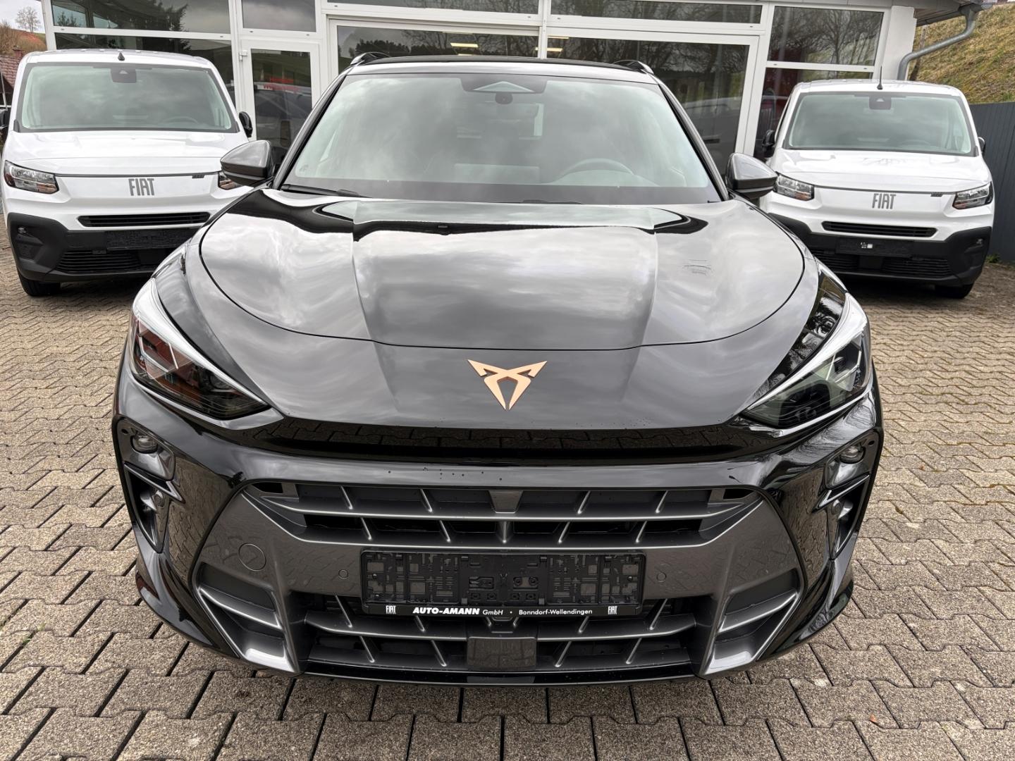 Cupra Terramar 2.0 TSI VZ