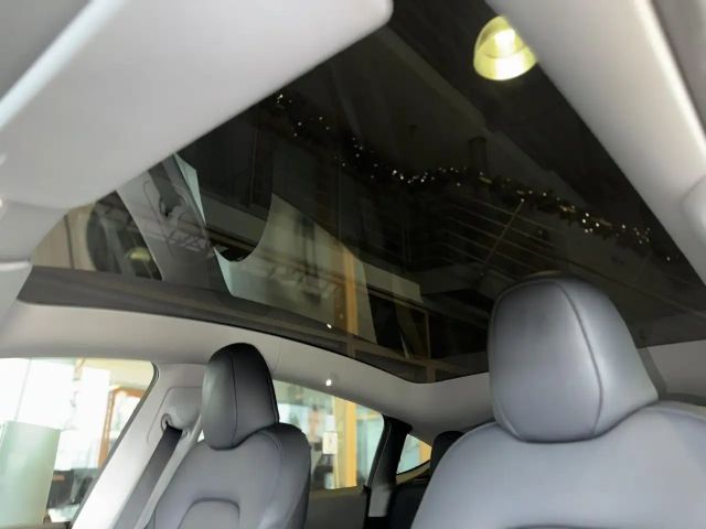 Tesla Model Y AWD Dual Motor Performance