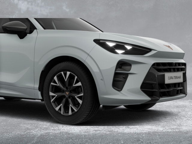 Cupra Terramar Terramar 1.5eTSI DSG LED+NAV+APP+ACC+SHZ+RFK+NSW