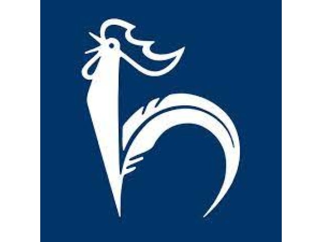 Skoda Kamiq 1.5 TSI Monte Carlo