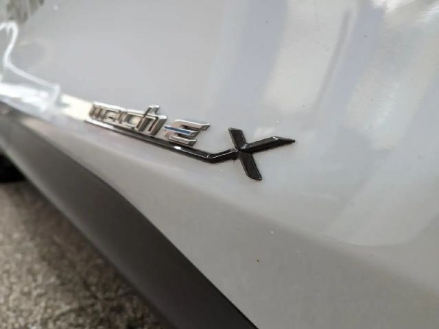 Ford Mustang Mach-E Basis