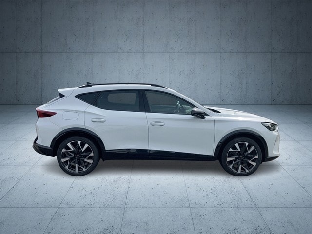 Cupra Formentor 2.0 TSI 4Drive DSG VZ