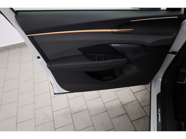 Cupra Terramar 2.0 TSI