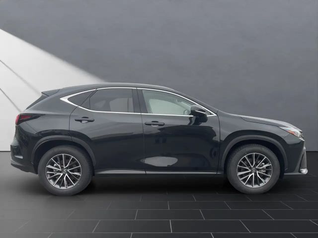 Lexus NX Executive Line