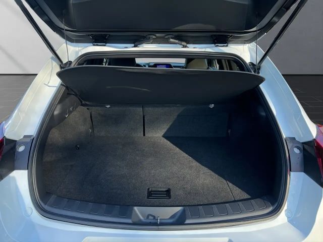 Lexus UX 250h F Sport Sport