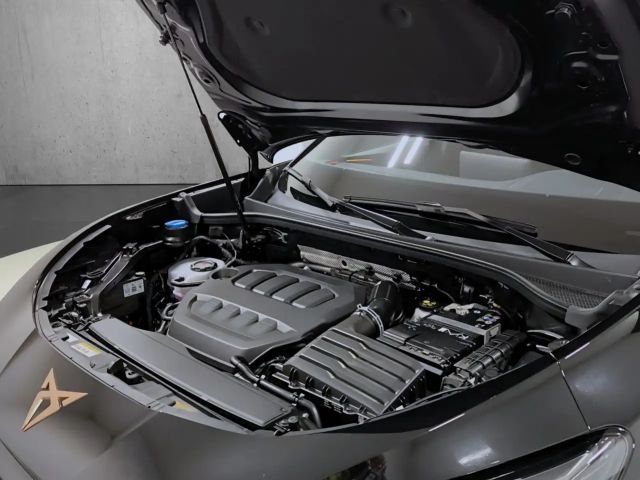 Cupra Terramar 2.0 TSI VZ