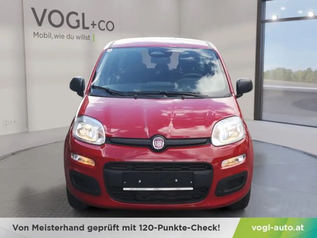 Fiat Panda Panda Pandina Mild Hybrid