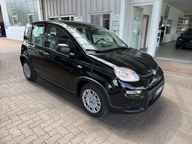 Fiat Panda 1.0 Hybrid 70PS Pandina