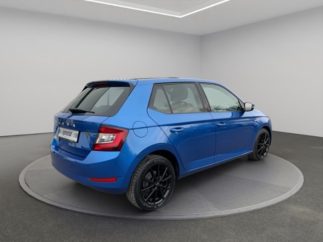 Skoda Fabia 1.0 TSI Best Clever