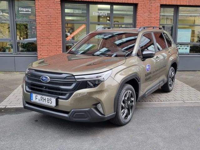 Subaru Forester Exclusive