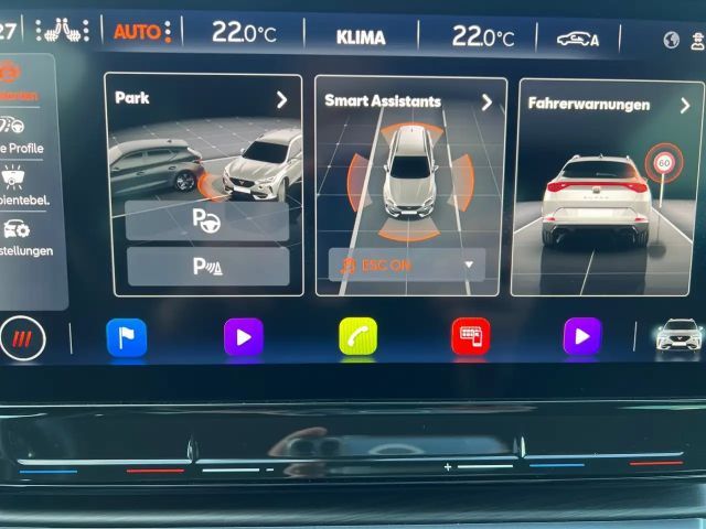 Cupra Formentor 1,5 TSI Matrix Kamera Sound AHK