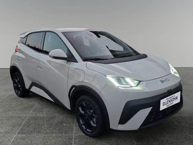 BYD Dolphin Surf Comfort