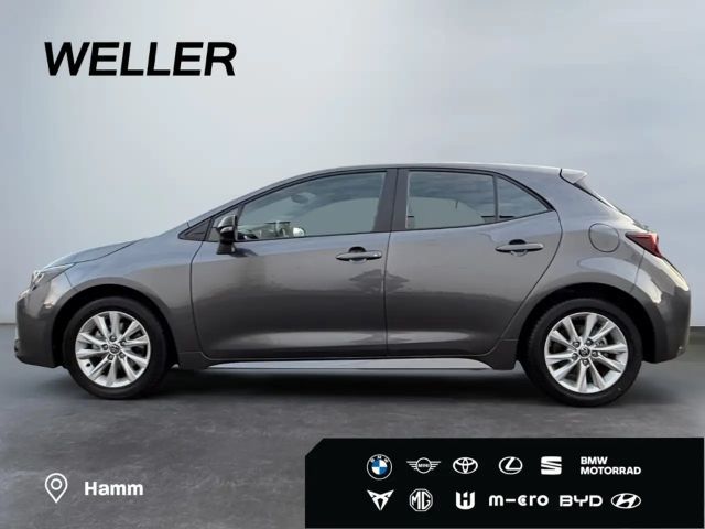 Toyota Corolla Business Hybride