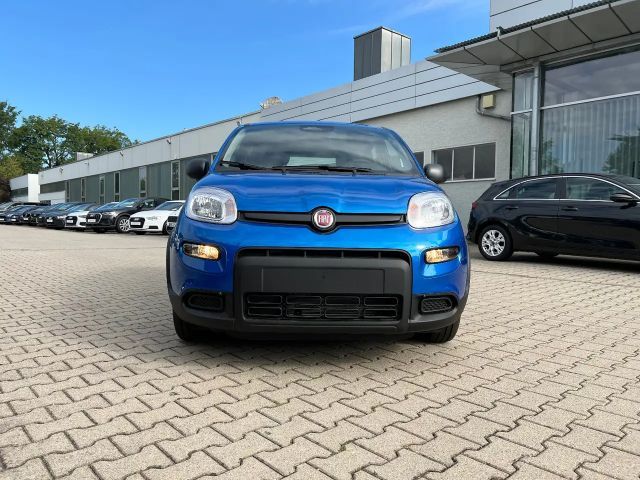Fiat Panda Neues Modell 1.0 *5 Sitzer Klima PDC DAB*