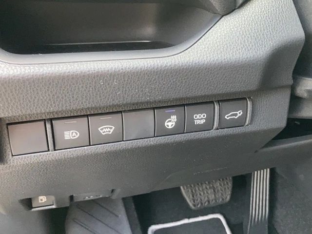 Toyota RAV4 Active Hybride