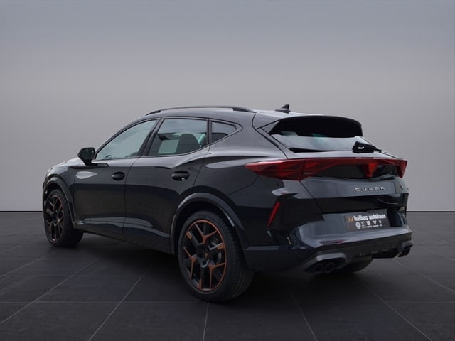 Cupra Formentor 2.0 TSI DSG
