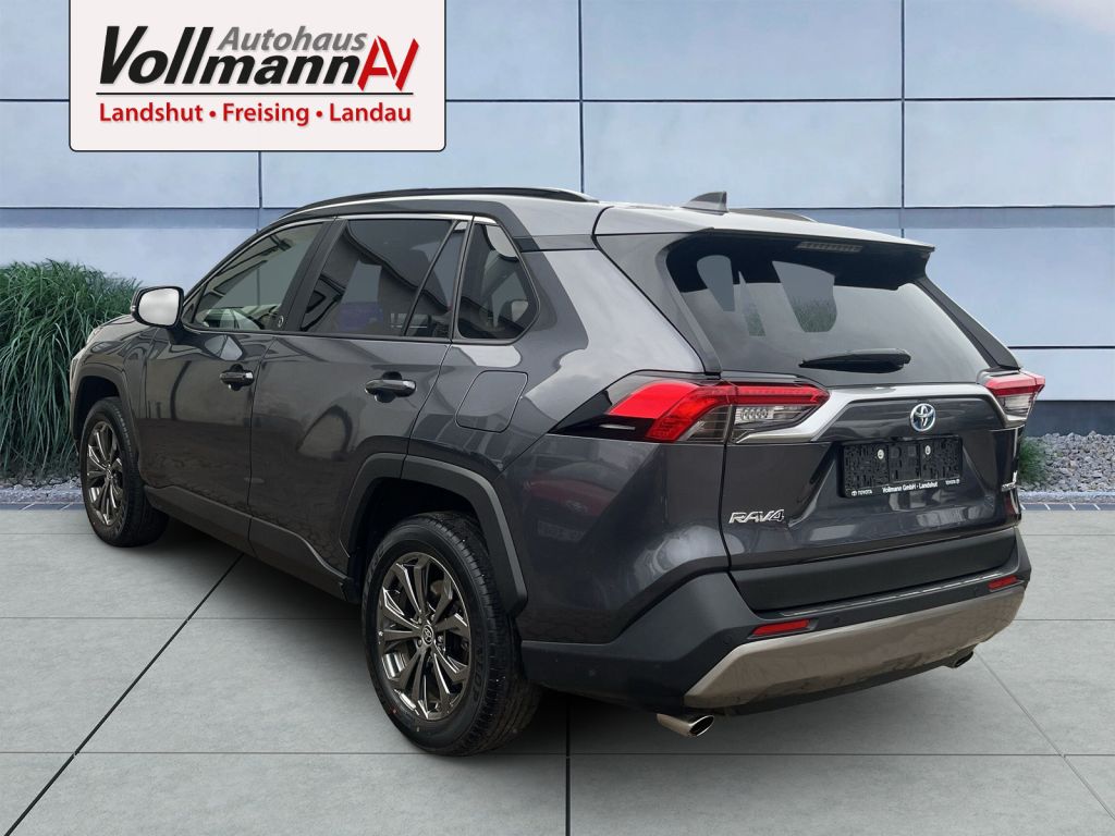 Toyota RAV4 5-deurs Team D