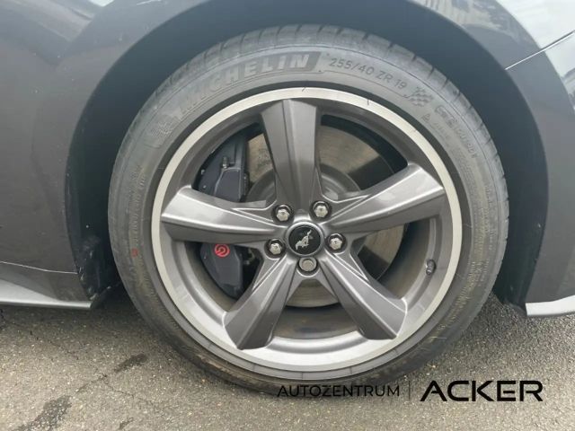 Ford Mustang Convertible GT 5.0 V8