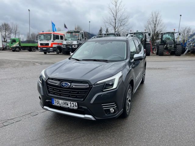 Subaru Forester Active