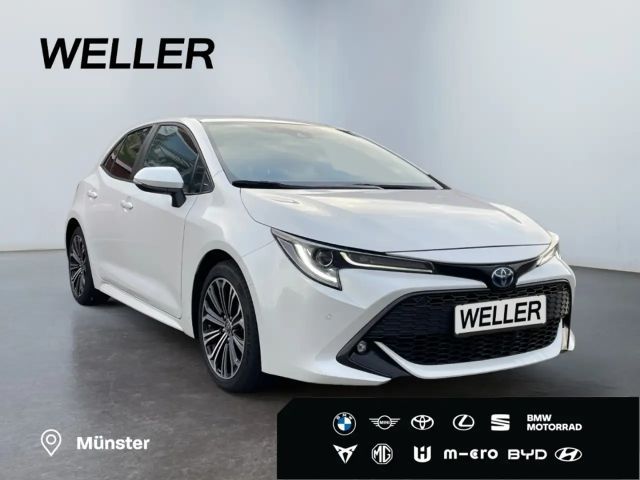 Toyota Corolla Hybride Team D