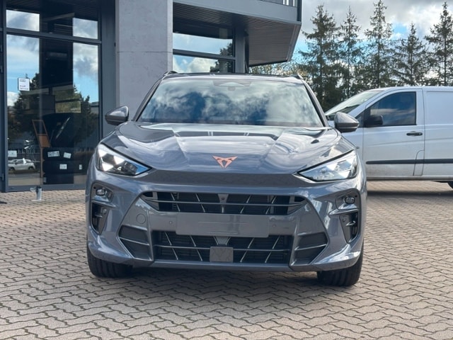Cupra Terramar 2.0 TSI