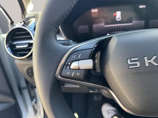 Skoda Fabia 1.0 TSI Selection