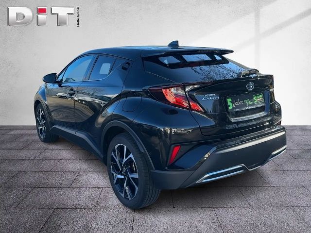 Toyota C-HR Team D